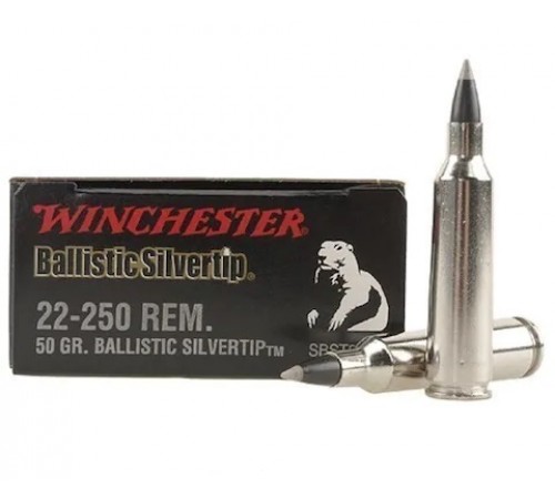 Winchester 22-250 REM. Ballistic Silvertip